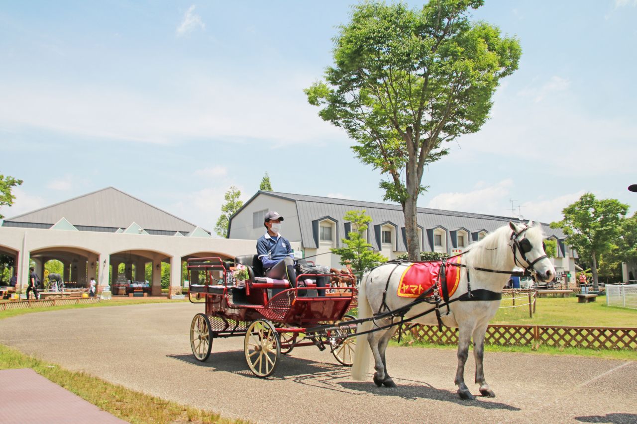 美嚢川リバーサイドパーク(桜)_2018.4.3